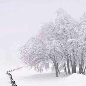 Meet your Posher, Patti